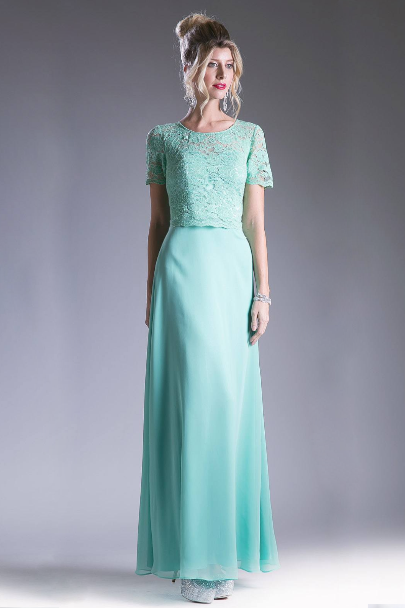 Long Chiffon Dress with Short Sleeves-3