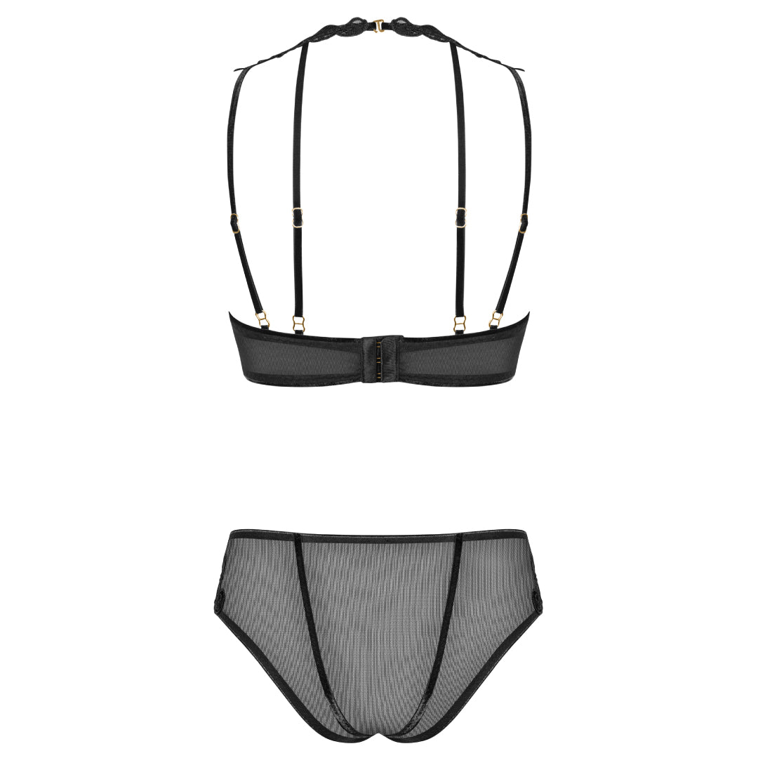 Sexy Sheer Demi Bra & Mesh Bikini Panty Set Majesty-3