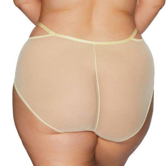 Soft High Waist Tulle Brief Panty Kinga Forget Me Not-1