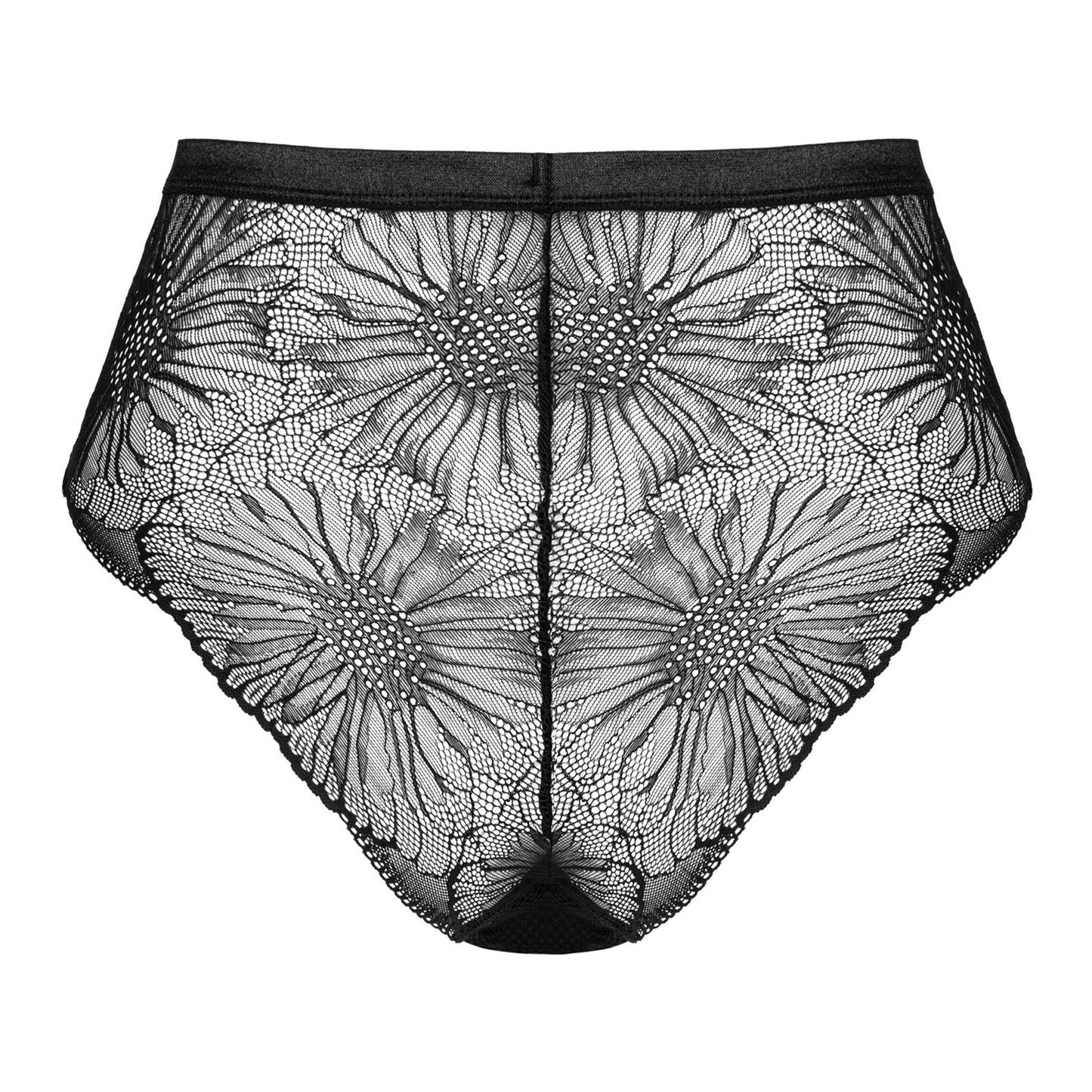 Sexy Lace Cutout Panty Obsessive Mibelia-3