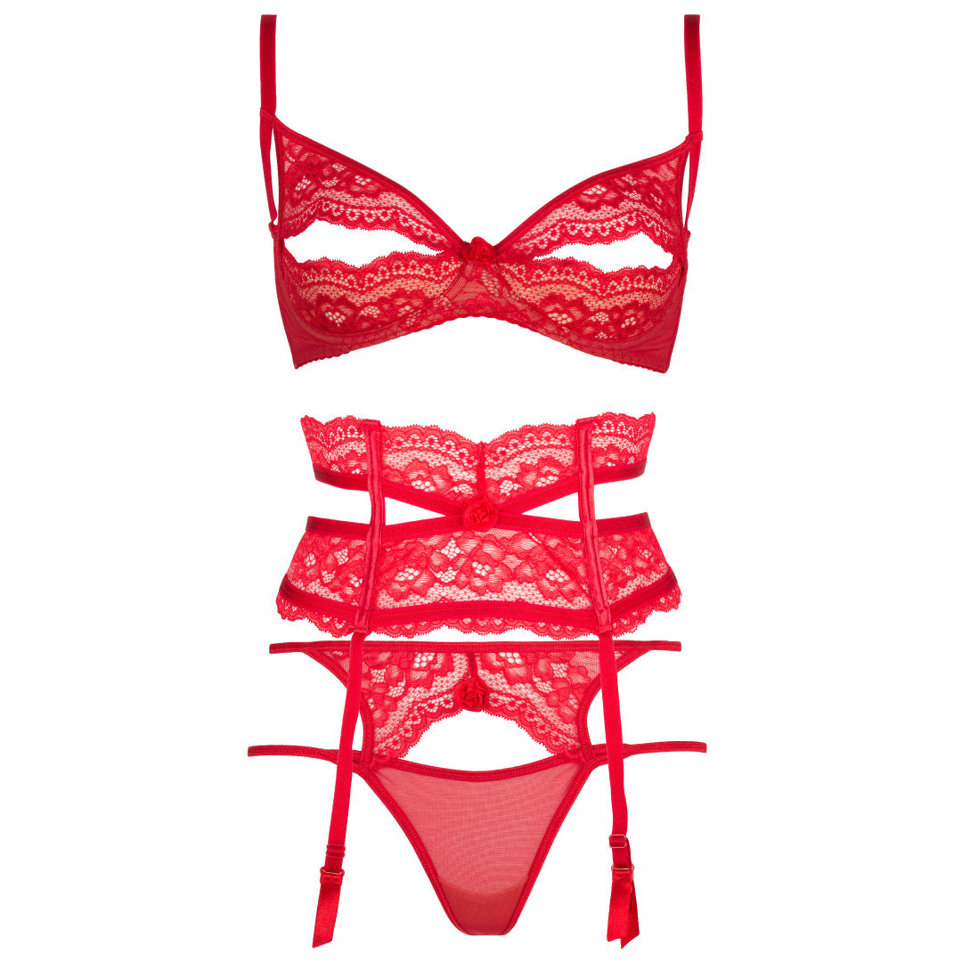 Sexy Sheer Mesh Lace Garter Belt Axami Intense-3