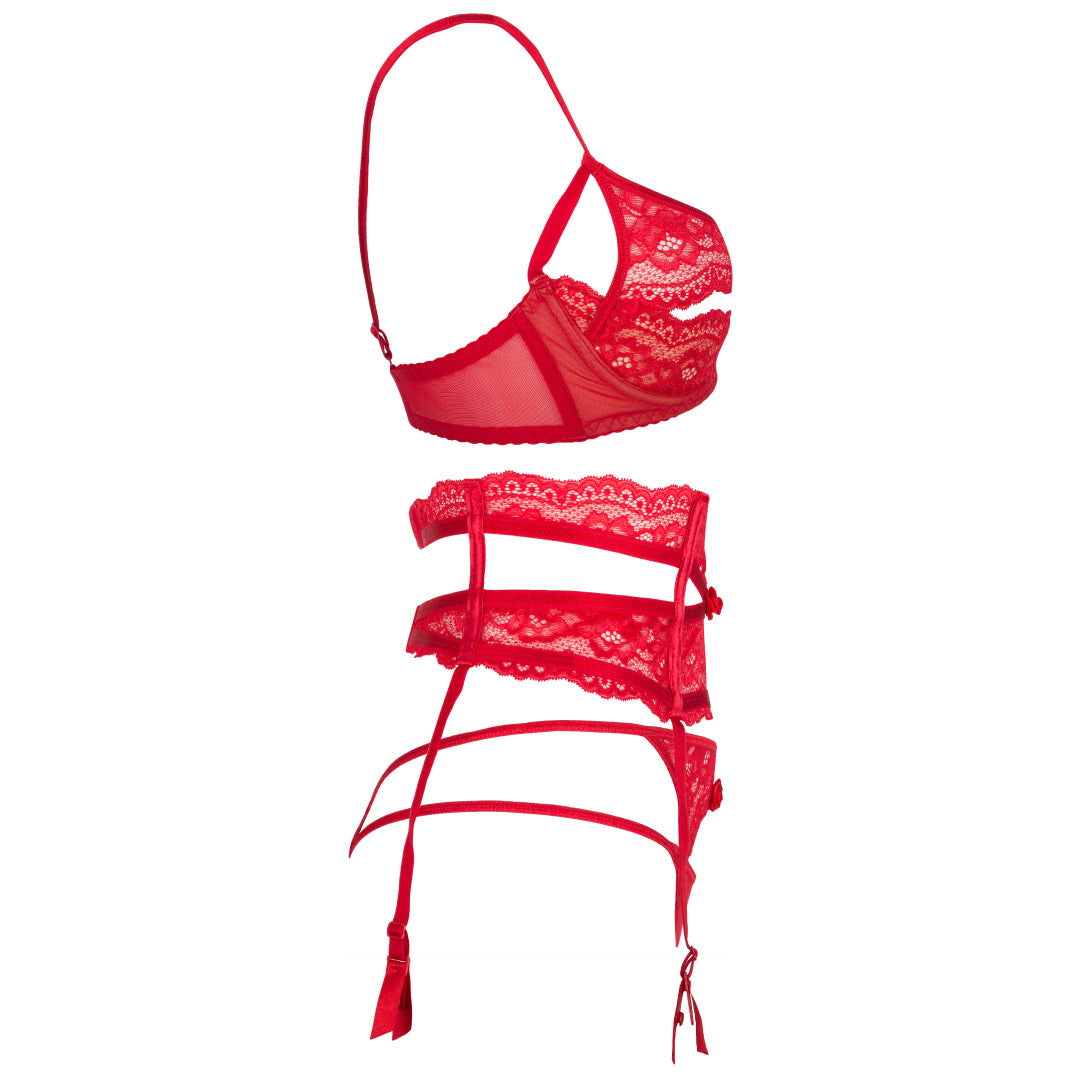 Sexy Sheer Mesh Lace Garter Belt Axami Intense-4