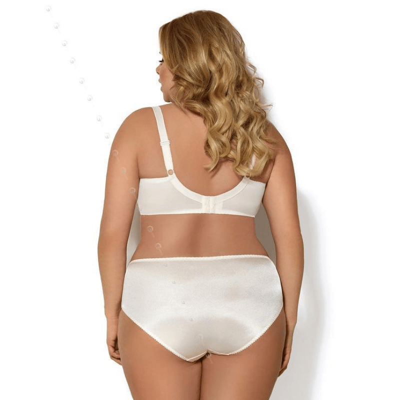 Smooth Brief Panty Gorsenia Claire-1