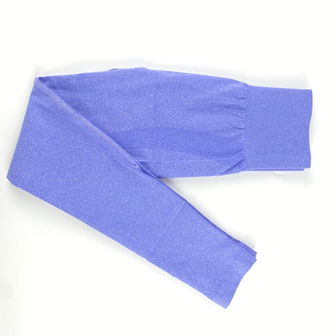 Seamless high waist leggings sportswear gym woman yoga Pants fitness women fitness running pants Sports Running Tights 2020-1