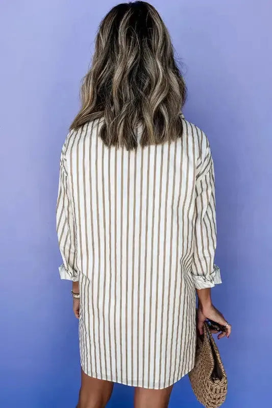 Striped Mini Shirt Dress-1